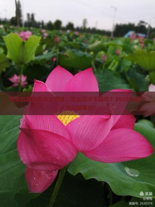 萍乡去恩施土司城个人游