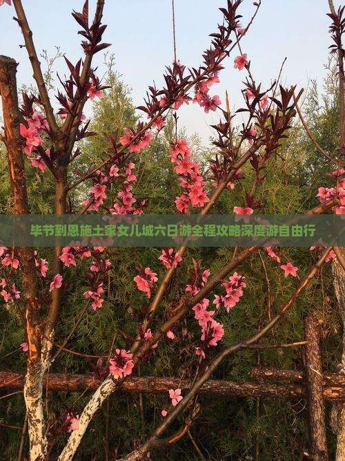毕节到恩施土家女儿城六日游