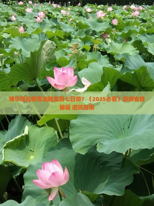 博尔塔拉到恩施腾龙洞七日游 博尔塔拉到恩施腾龙洞七日游