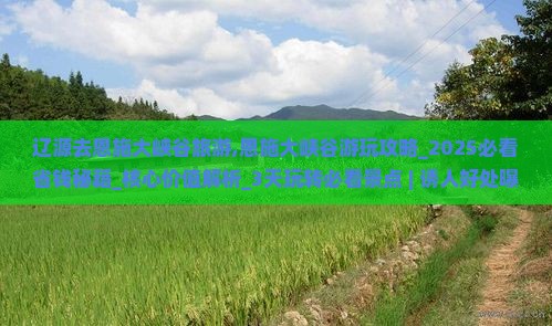 辽源去恩施大峡谷旅游