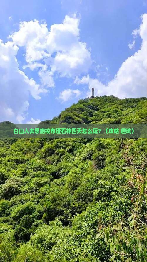 白山去恩施梭布垭石林四日游