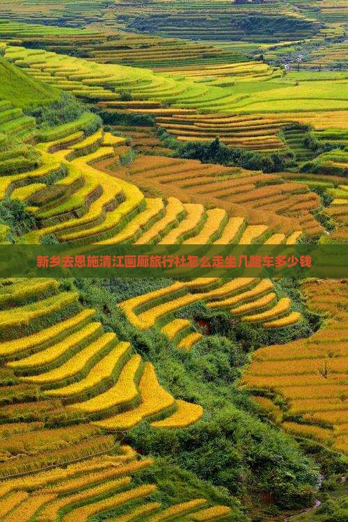 新乡去恩施清江画廊旅行社
