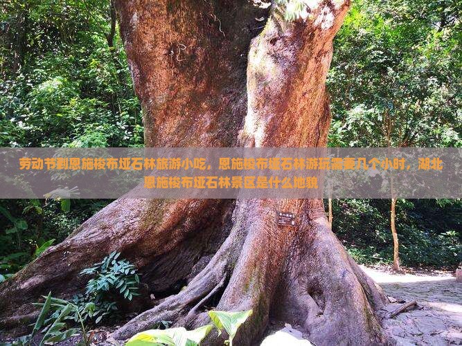 劳动节到恩施梭布垭石林旅游小吃