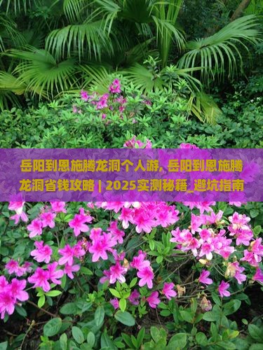 岳阳到恩施腾龙洞个人游