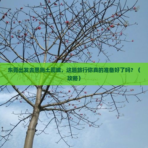 东莞到恩施土司城旅行社
