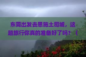 东莞到恩施土司城旅行社
