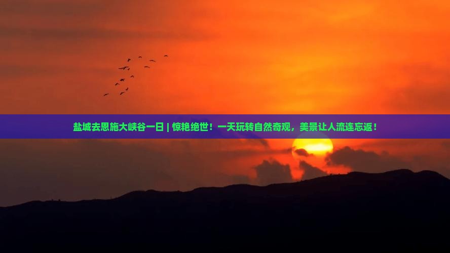 盐城去恩施大峡谷一日
