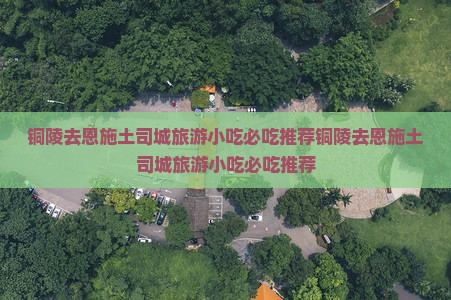 铜陵去恩施土司城旅游小吃