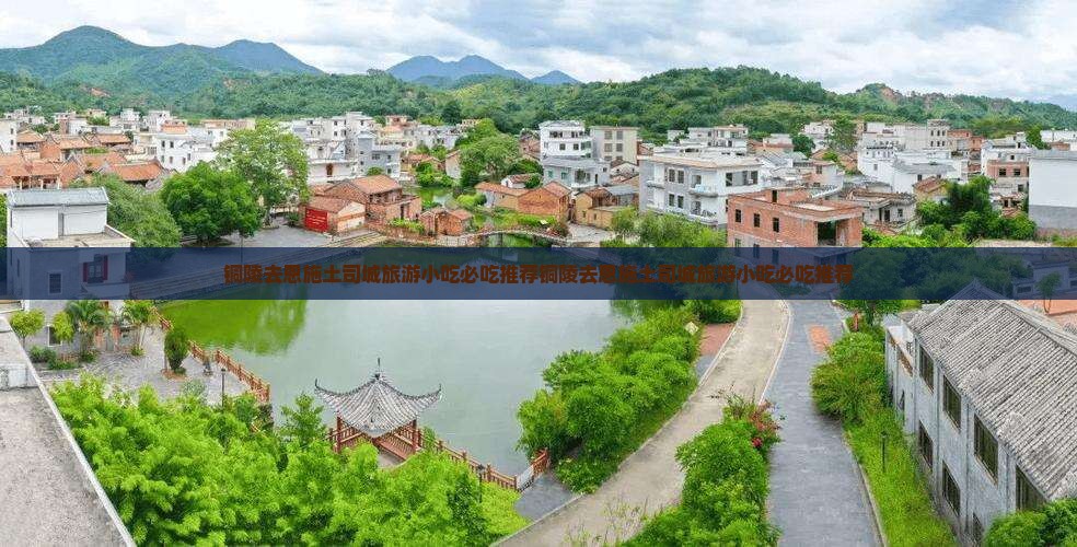 铜陵去恩施土司城旅游小吃