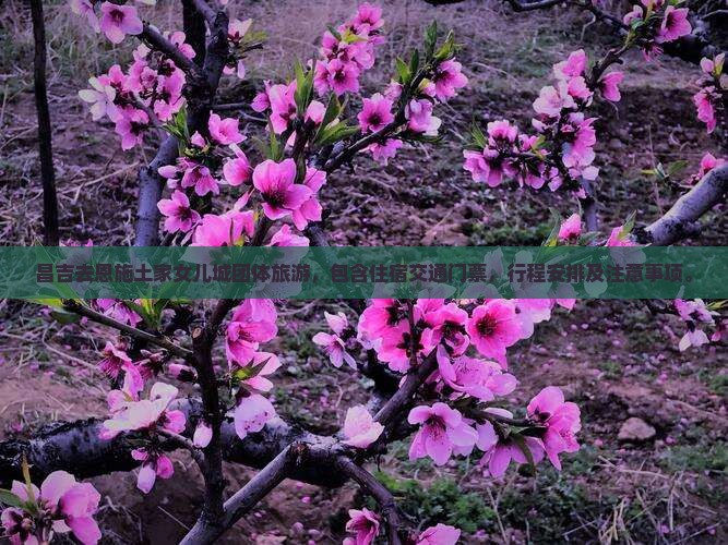 昌吉去恩施土家女儿城团体旅游