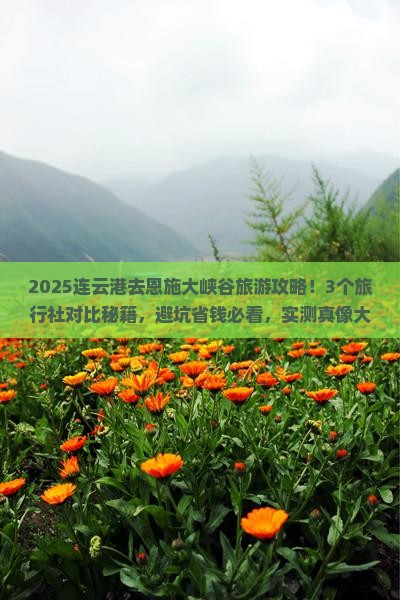 连云港去恩施大峡谷旅行社