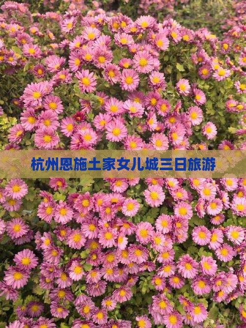 杭州去恩施土家女儿城三日游