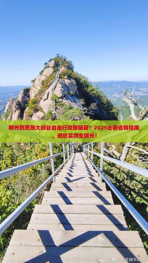 郴州到恩施大峡谷自由团