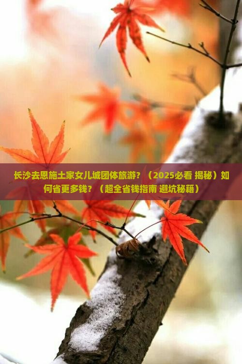 长沙去恩施土家女儿城团体旅游