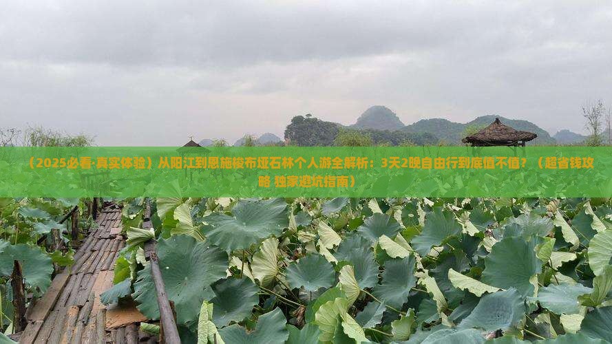 阳江去恩施梭布垭石林个人游