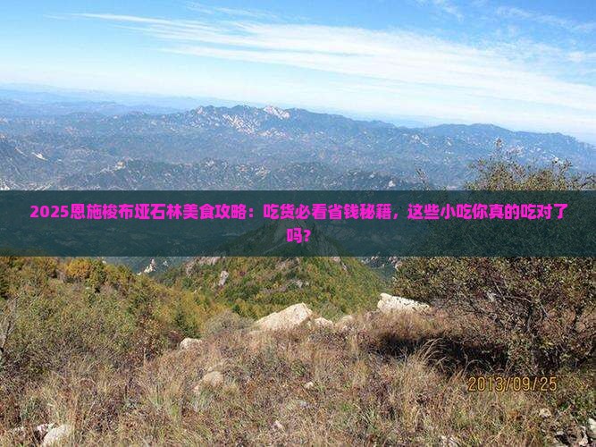 朝阳到恩施梭布垭石林旅游小吃