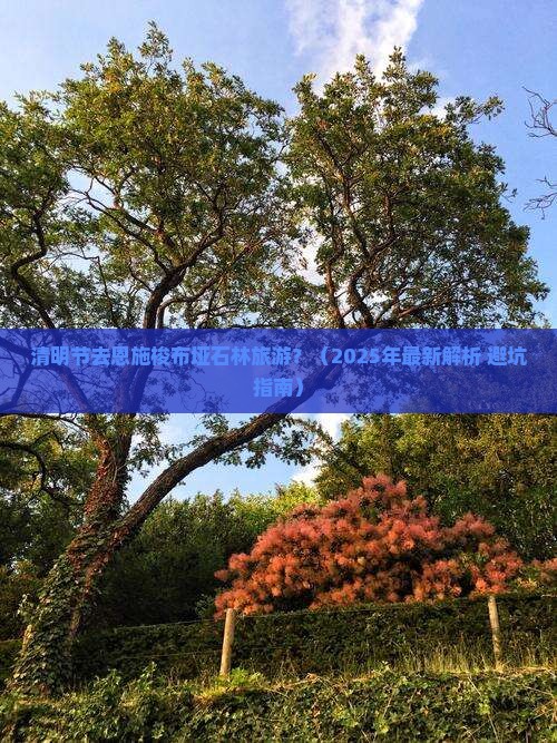 清明节去恩施梭布垭石林旅游