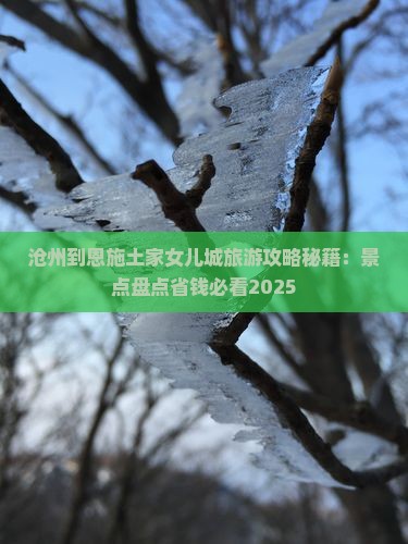 沧州到恩施土家女儿城团体旅游 沧州到恩施土家女儿城团体旅游