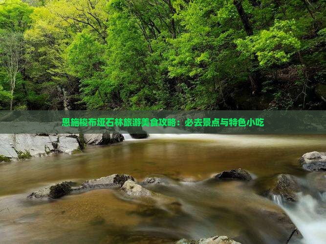 来宾到恩施梭布垭石林旅游小吃
