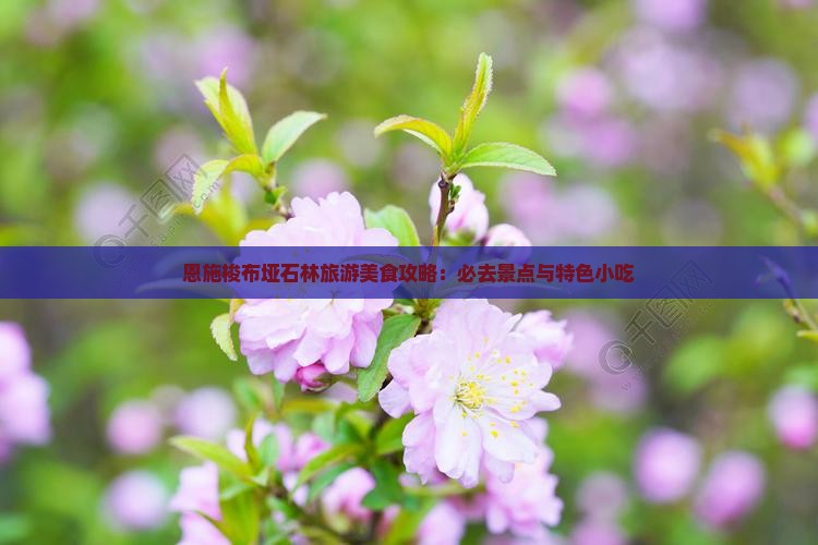 来宾到恩施梭布垭石林旅游小吃
