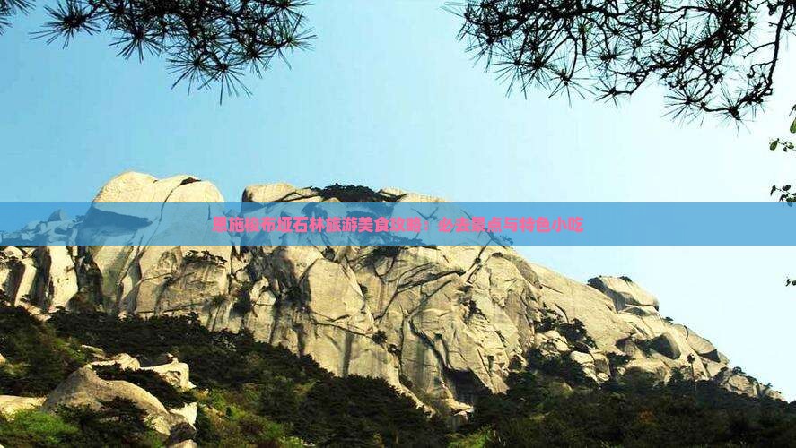 来宾到恩施梭布垭石林旅游小吃