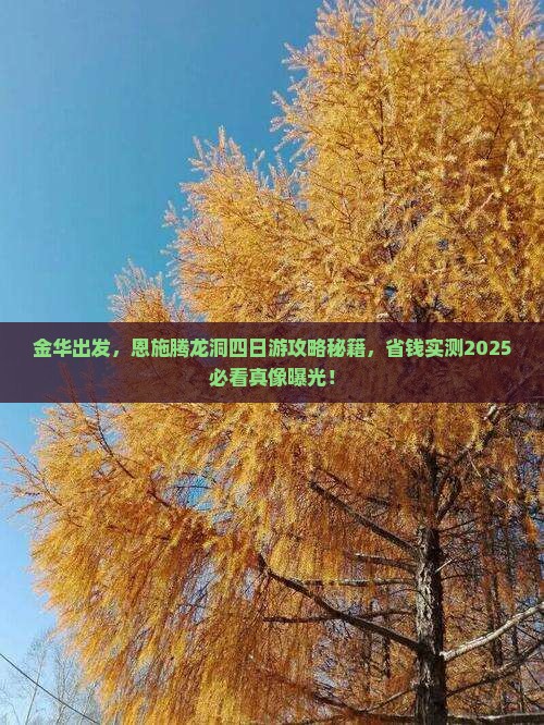 金华到恩施腾龙洞四日游