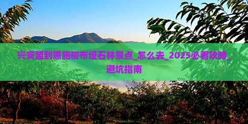兴安盟到恩施梭布垭石林景点