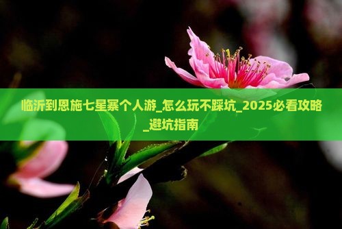 临沂到恩施七星寨个人游