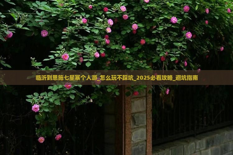 临沂到恩施七星寨个人游