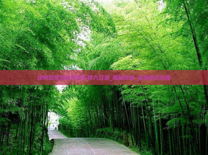 徐州到恩施梭布垭石林六日游