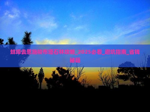 蚌埠去恩施梭布垭石林攻略