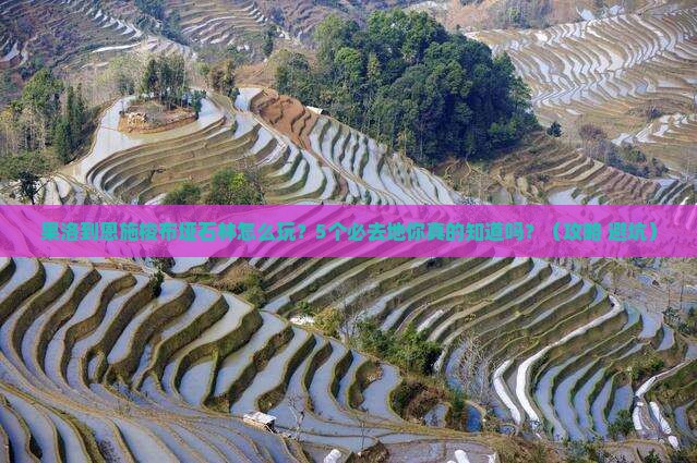 果洛到恩施梭布垭石林必去地