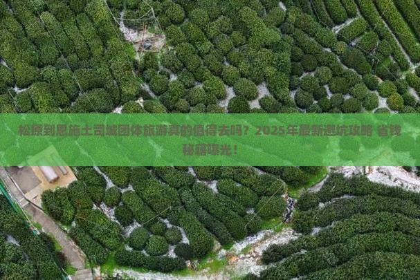 松原到恩施土司城团体旅游