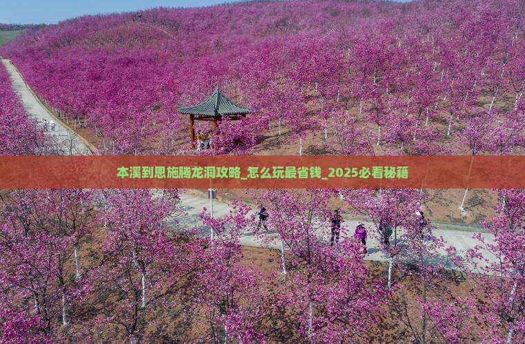本溪到恩施腾龙洞攻略