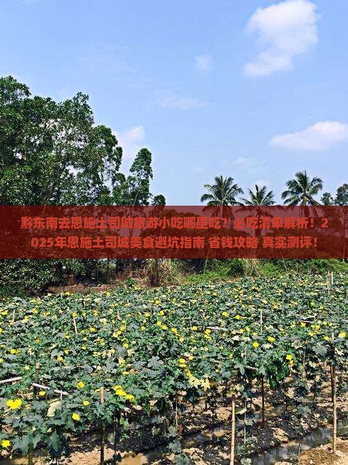 黔东南去恩施土司城旅游小吃