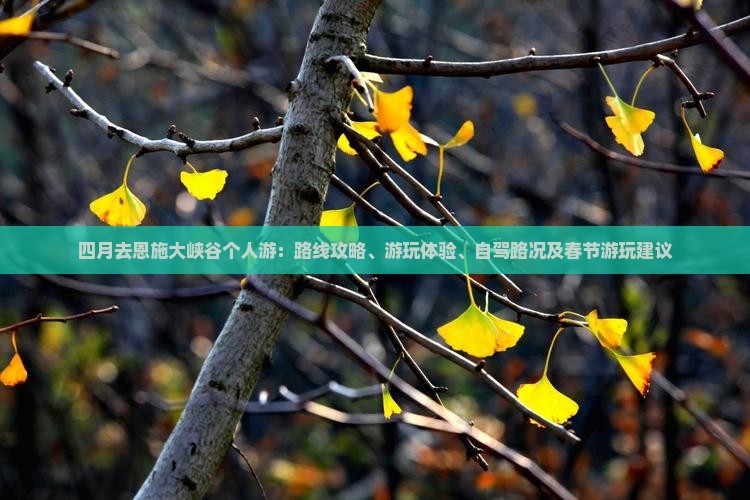 四月去恩施大峡谷个人游