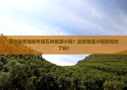 嘉兴到恩施梭布垭石林旅游小吃