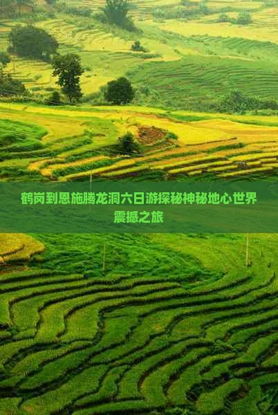 鹤岗到恩施腾龙洞六日游
