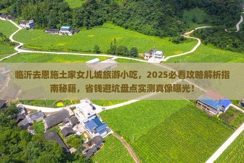 临沂去恩施土家女儿城旅游小吃