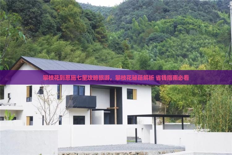 攀枝花到恩施七星寨一日