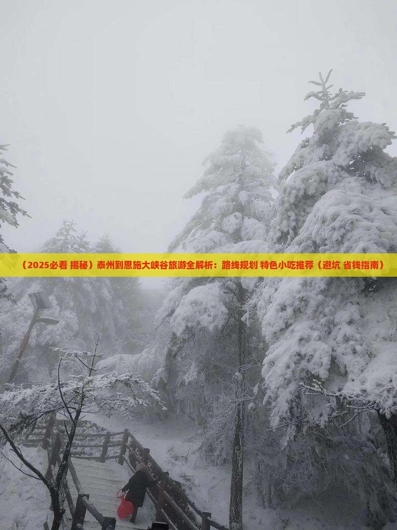泰州到恩施大峡谷旅游小吃