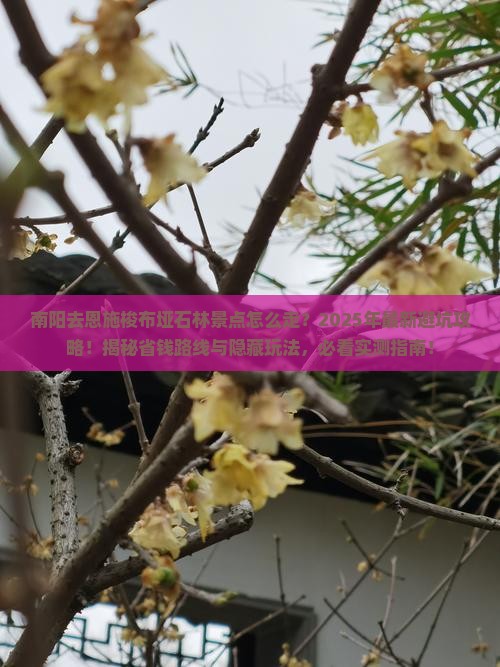 南阳去恩施梭布垭石林景点