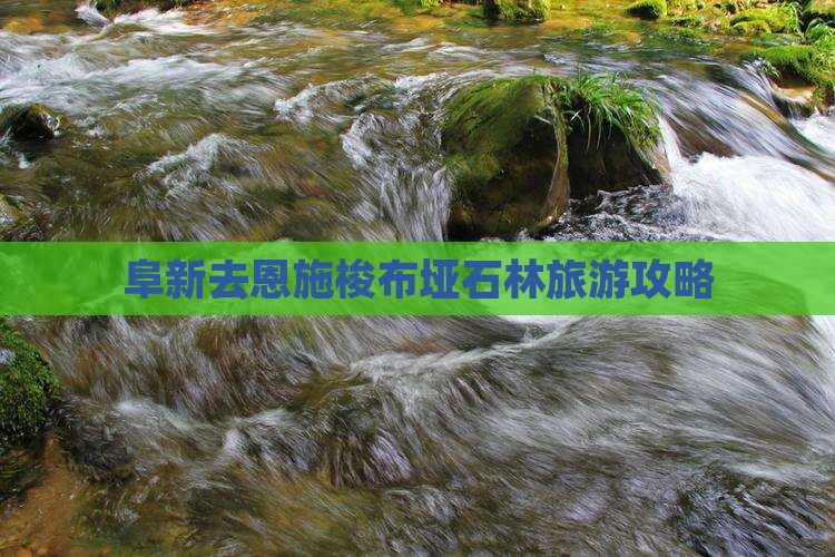 阜新去恩施梭布垭石林个人游