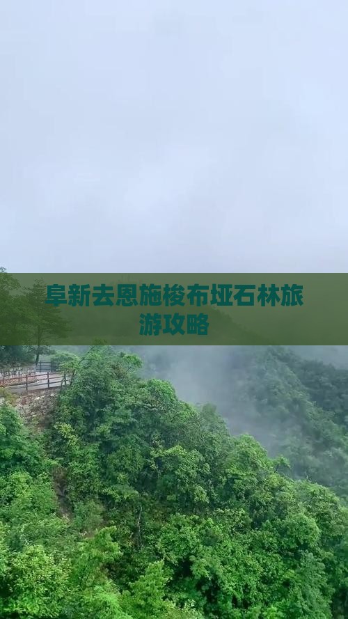 阜新去恩施梭布垭石林个人游