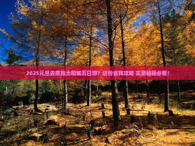元旦去恩施土司城五日游