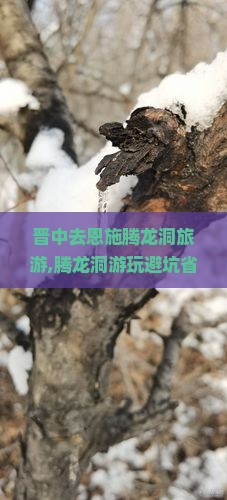 晋中去恩施腾龙洞旅游
