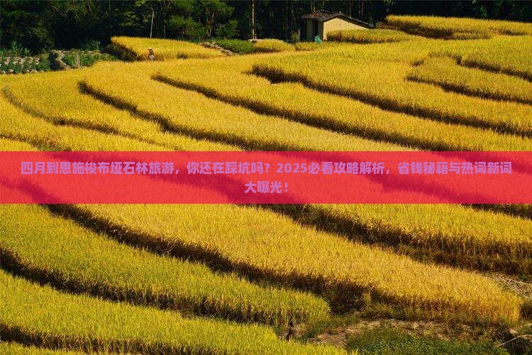 四月到恩施梭布垭石林旅游