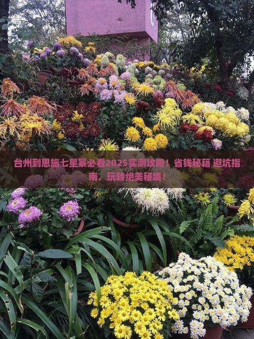 台州到恩施七星寨哪里玩