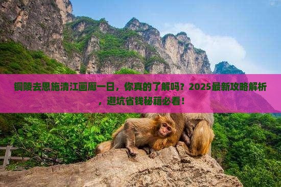 铜陵去恩施清江画廊一日
