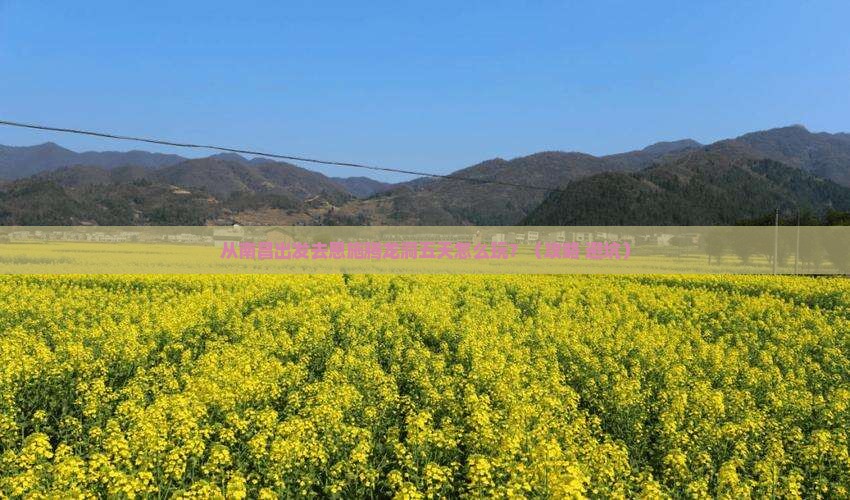 南昌去恩施腾龙洞五日游